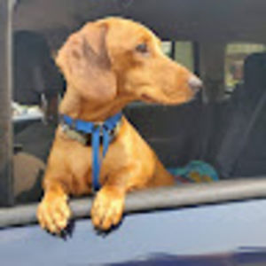 Meet your Posher, Sara